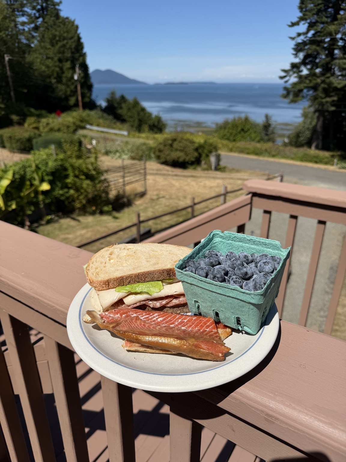 A roadside lunch of sandwiches, smoked salmon, and blueberries overlooking the water