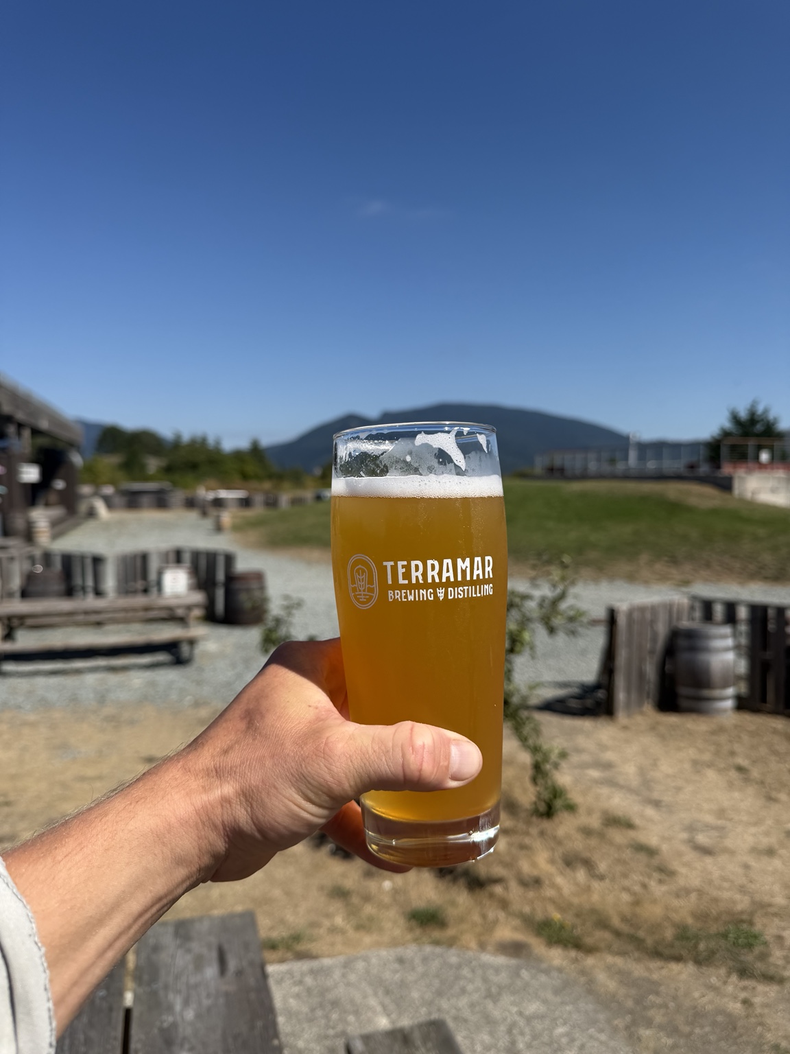 A celebratory beer at Terramar Brewing and Distilling