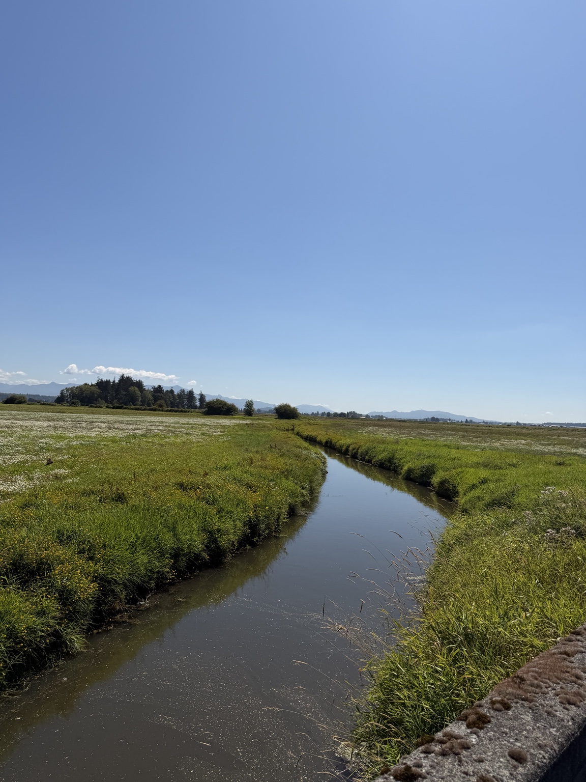 A winding waterway through green fields beneath a clear blue sky