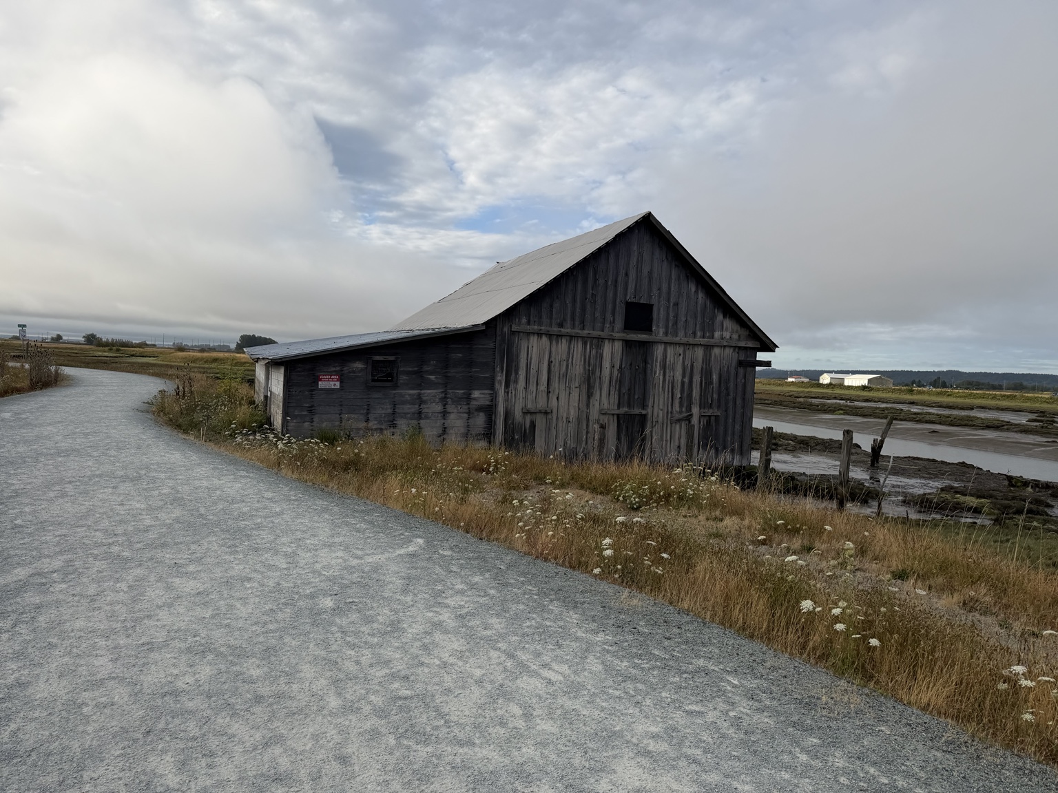 A weathered wooden barn beside a farm road in the Skagit Valley