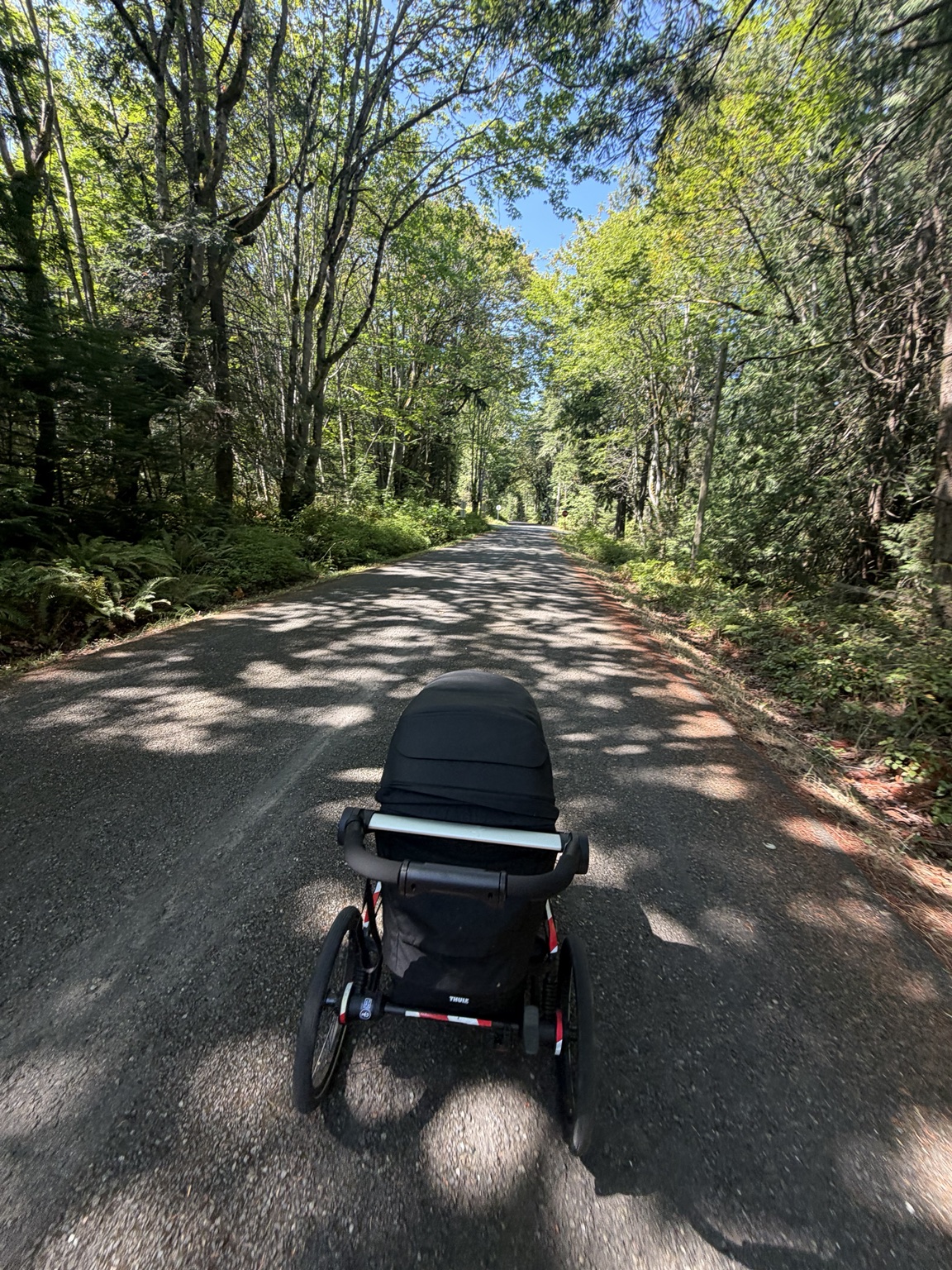 View over the running stroller on a sun-dappled forest road