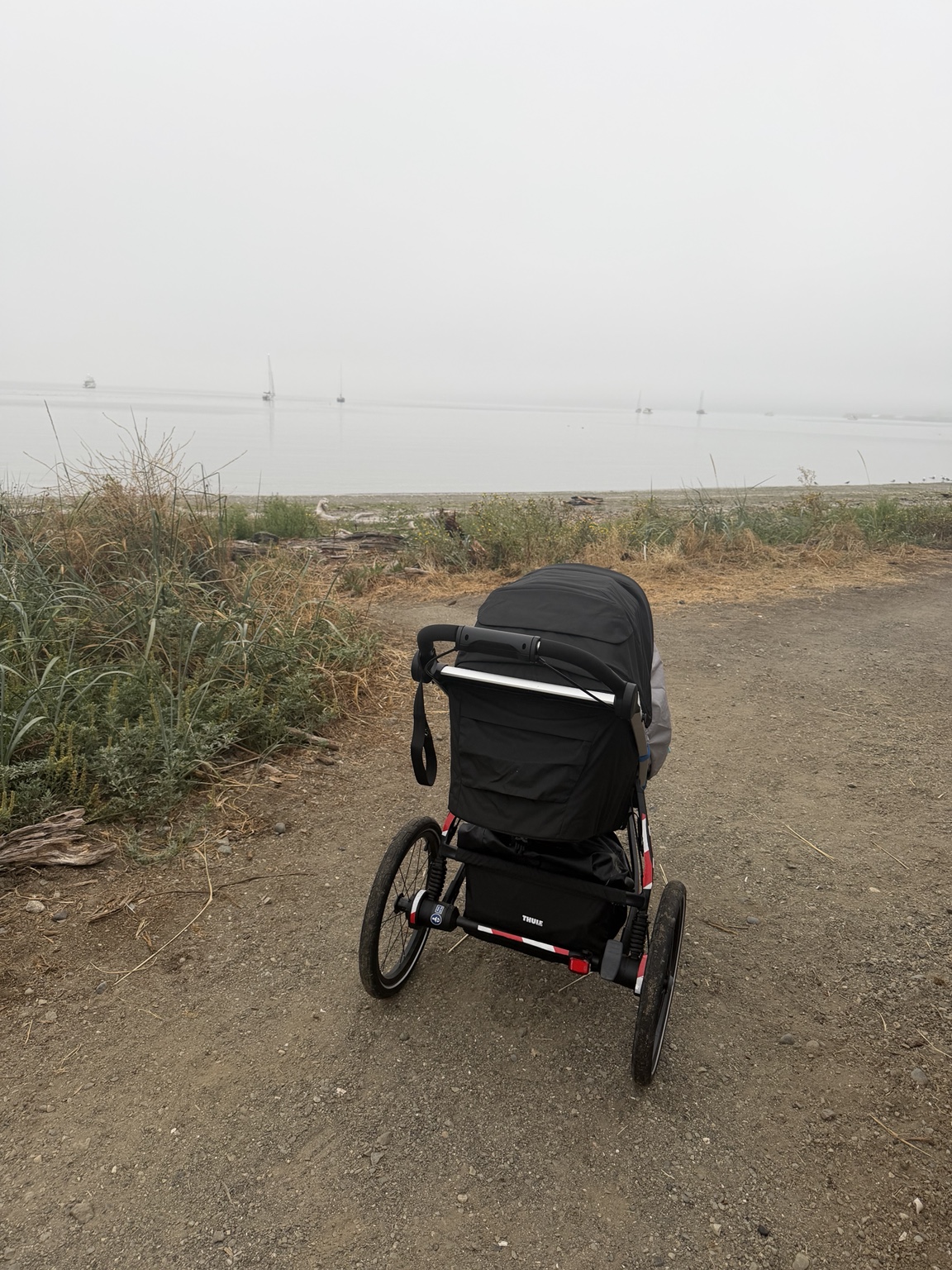 Matthew’s running stroller beside a foggy waterfront with sailboats in the distance