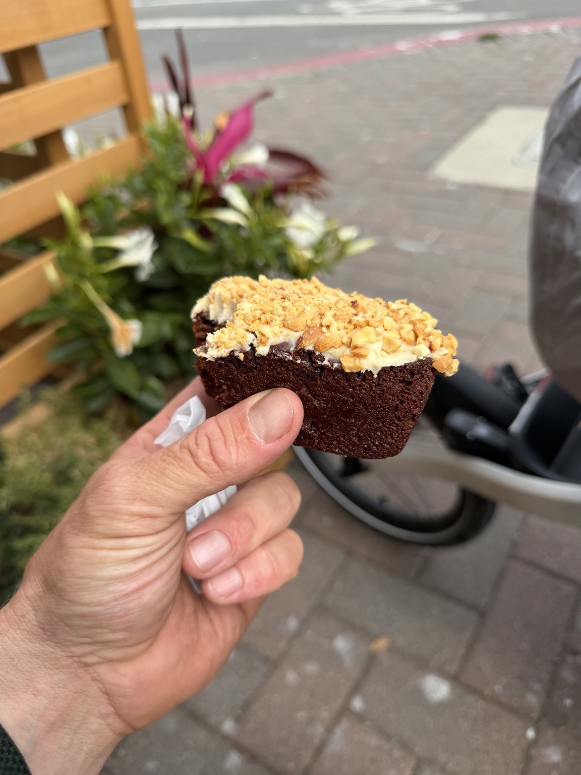 A peanut butter brownie topped with chopped peanuts during a Day 6 lunch stop