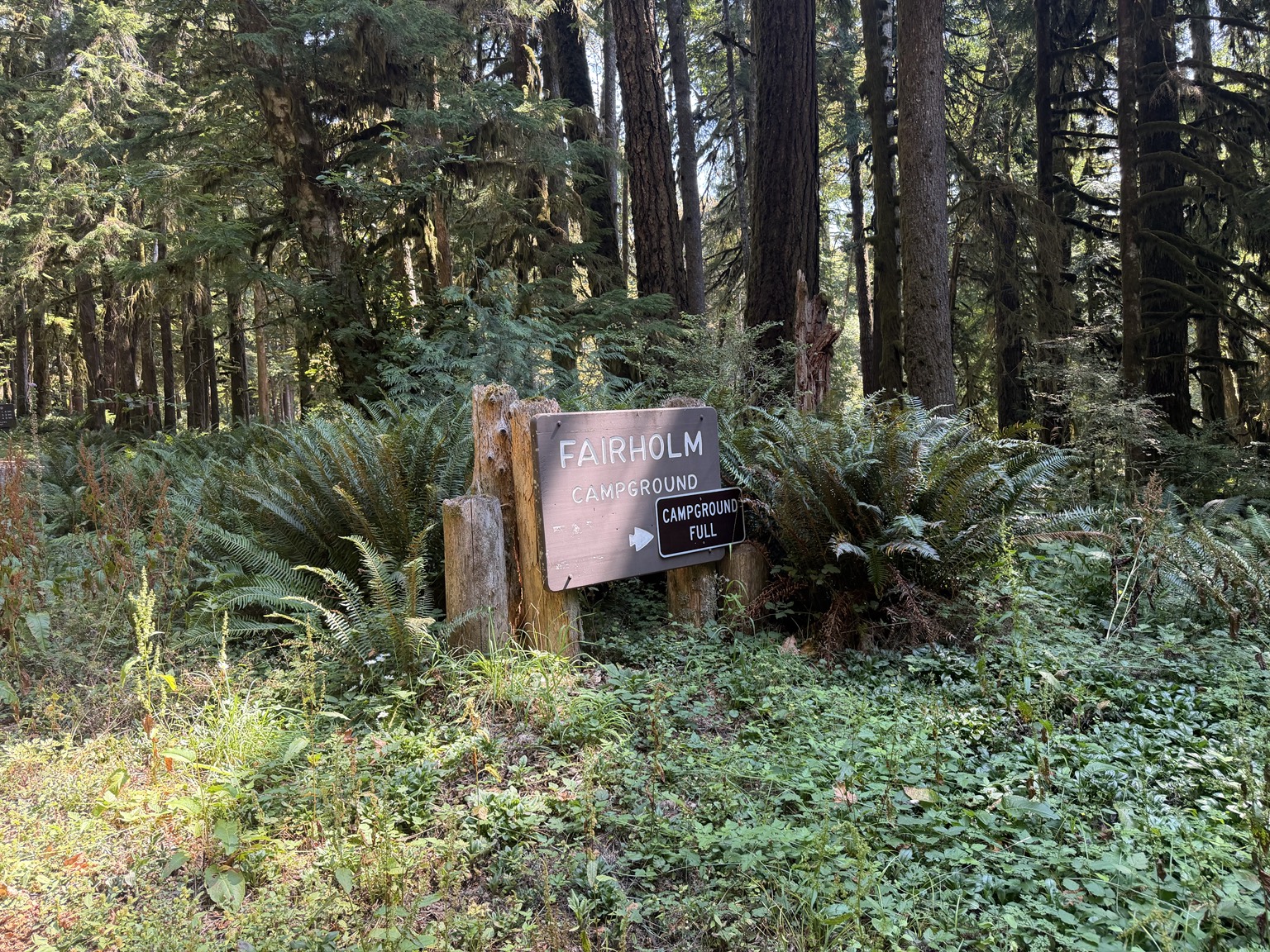 The Fairholme Campground sign marked campground full among ferns and forest