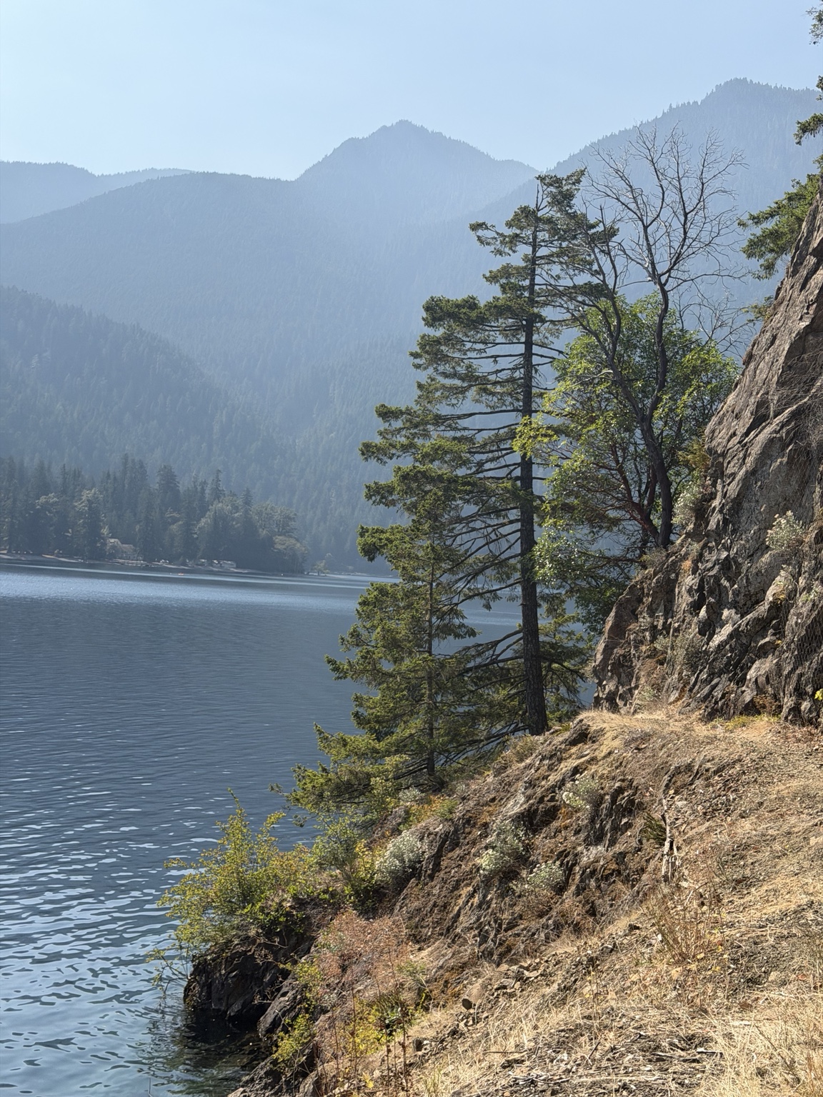 Trees and rocky cliffs rising above the blue water of Lake Crescent