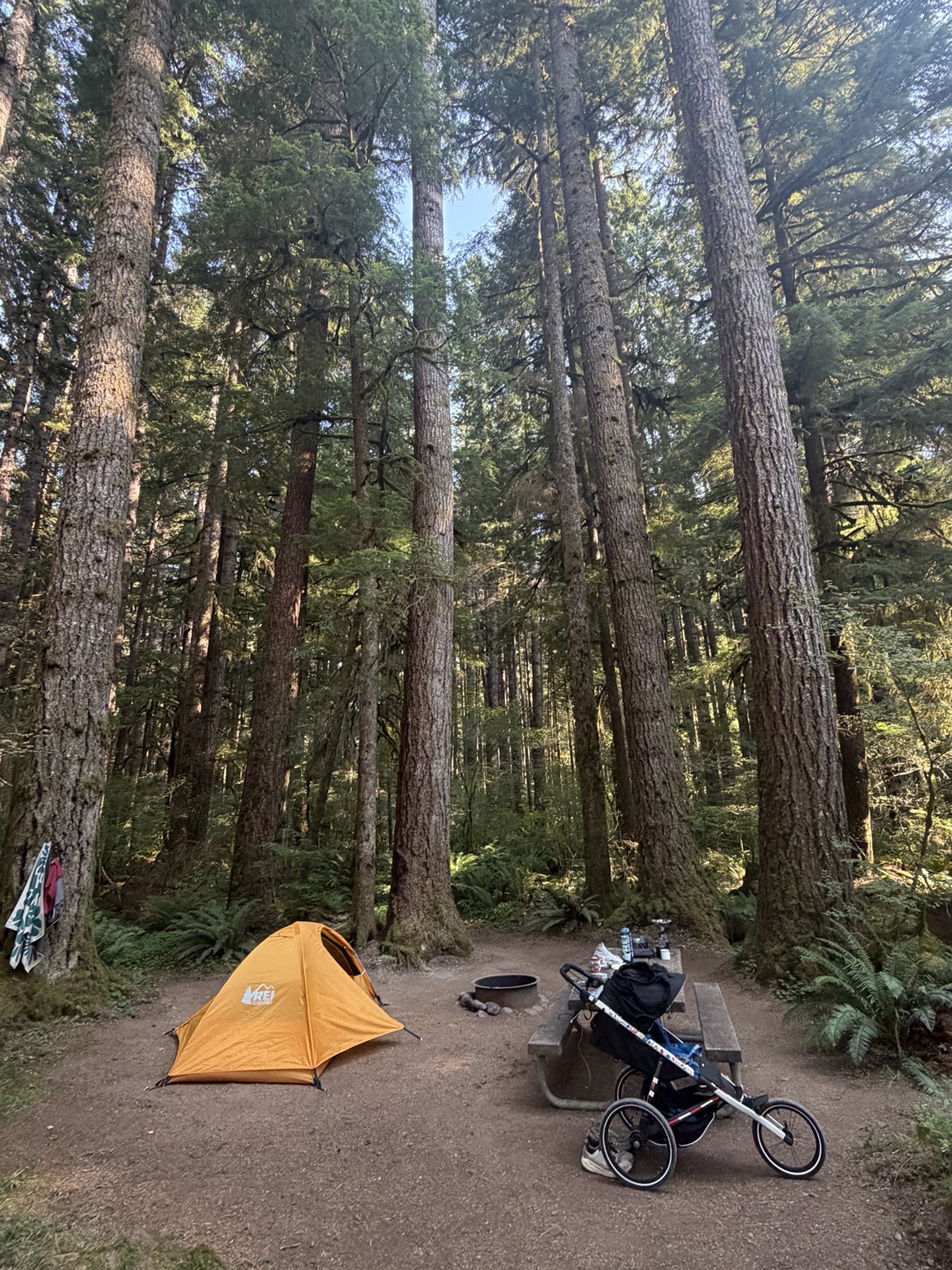 Matthew’s orange tent and running stroller at a forested campground