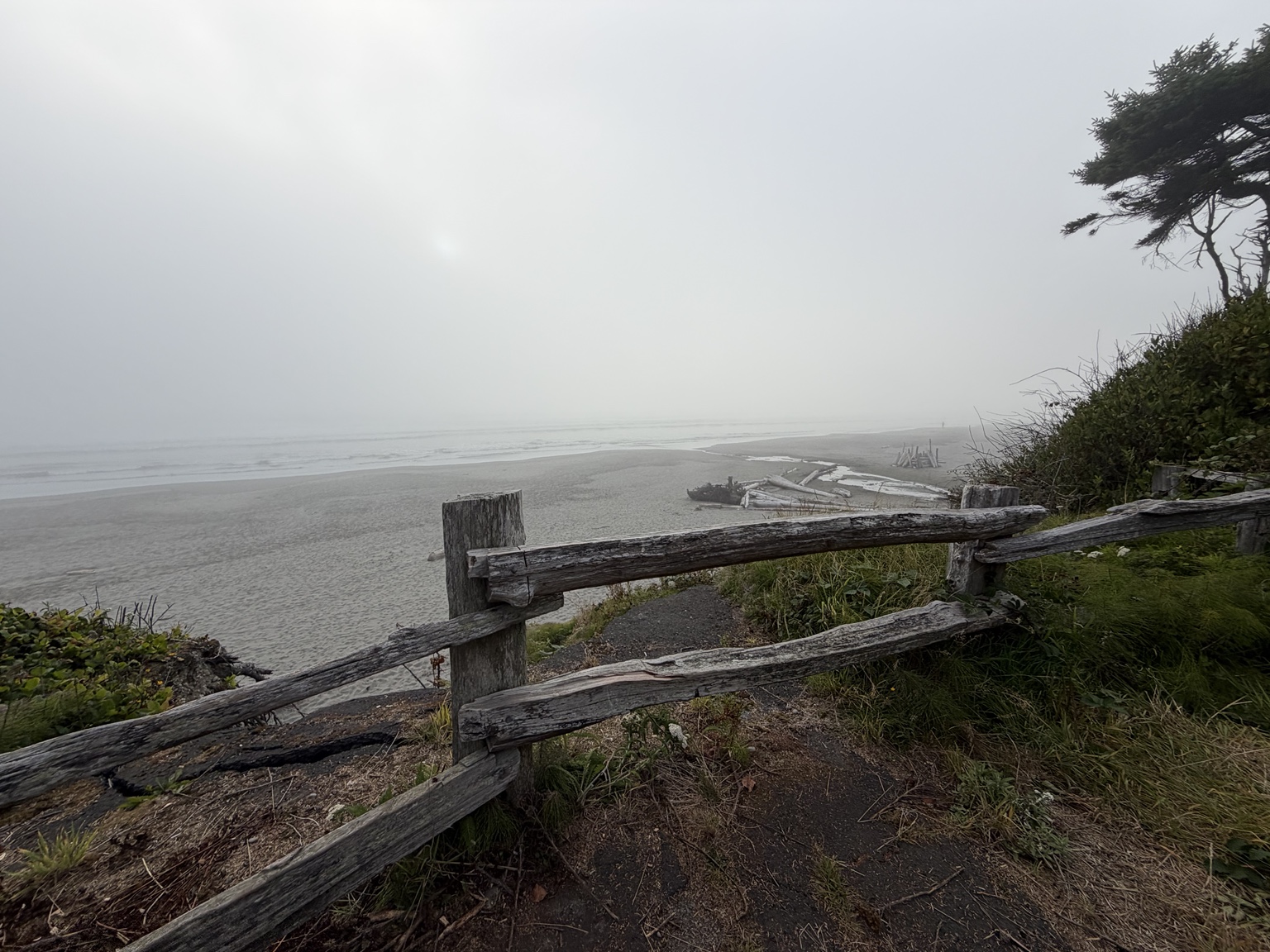 A misty Pacific Ocean view from a driftwood-lined coastal overlook