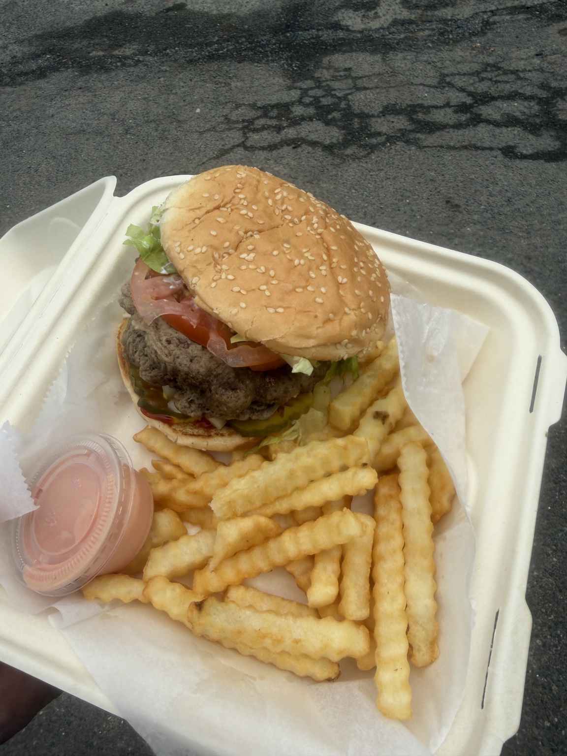A large burger and crinkle-cut fries during Matthew’s stop in Moclips