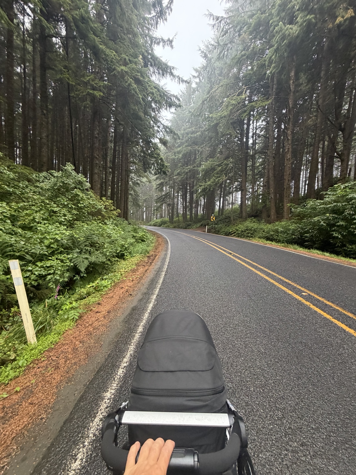 Matthew’s stroller rolling along a quiet road through towering coastal evergreens