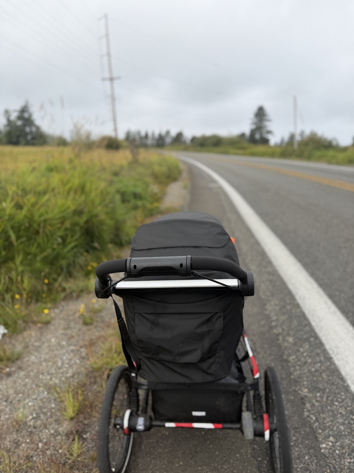Matthew’s running stroller on the shoulder of a flat coastal road beneath a gray sky