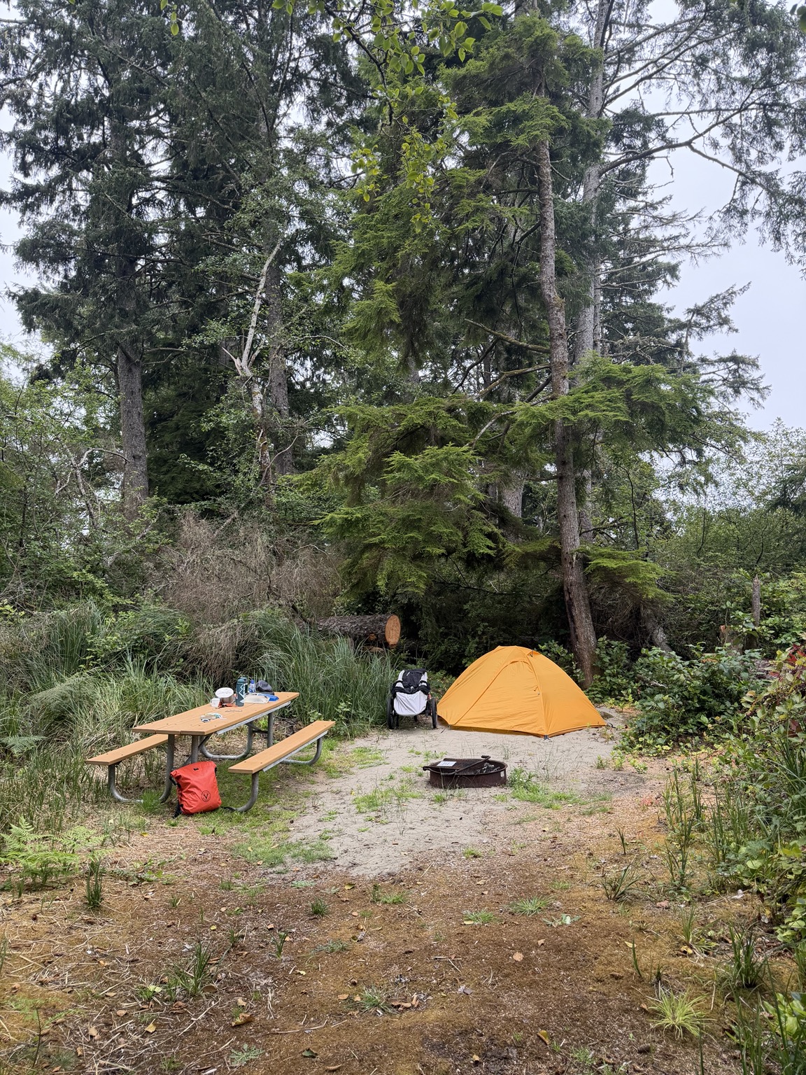 Matthew’s orange tent, running stroller, and picnic table at a wooded Twin Harbors campsite