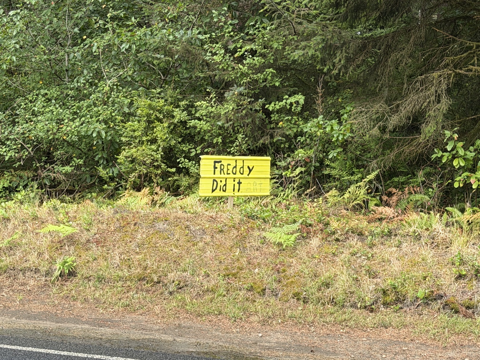 A hand-painted roadside sign reading Freddy Did It
