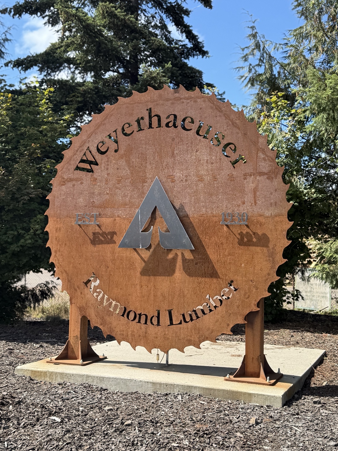 Weyerhaeuser Raymond Lumber saw-blade sign beneath evergreen trees