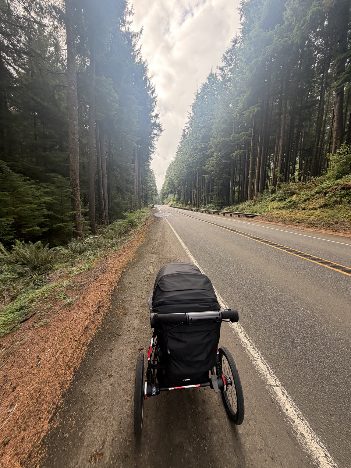 Matthew’s running stroller on the shoulder of a sunlit forest highway