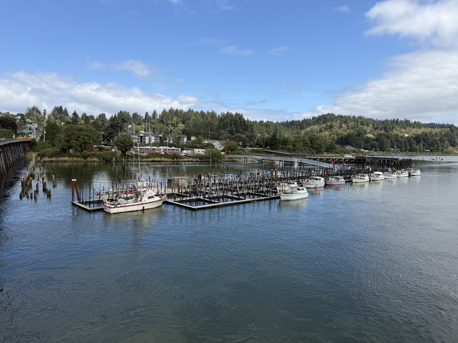 Fishing boats moored at a quiet marina beneath forested hills near Astoria