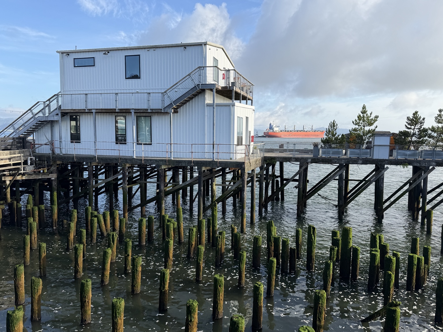 Moss-covered wooden pilings beneath an Astoria waterfront building with a cargo ship beyond