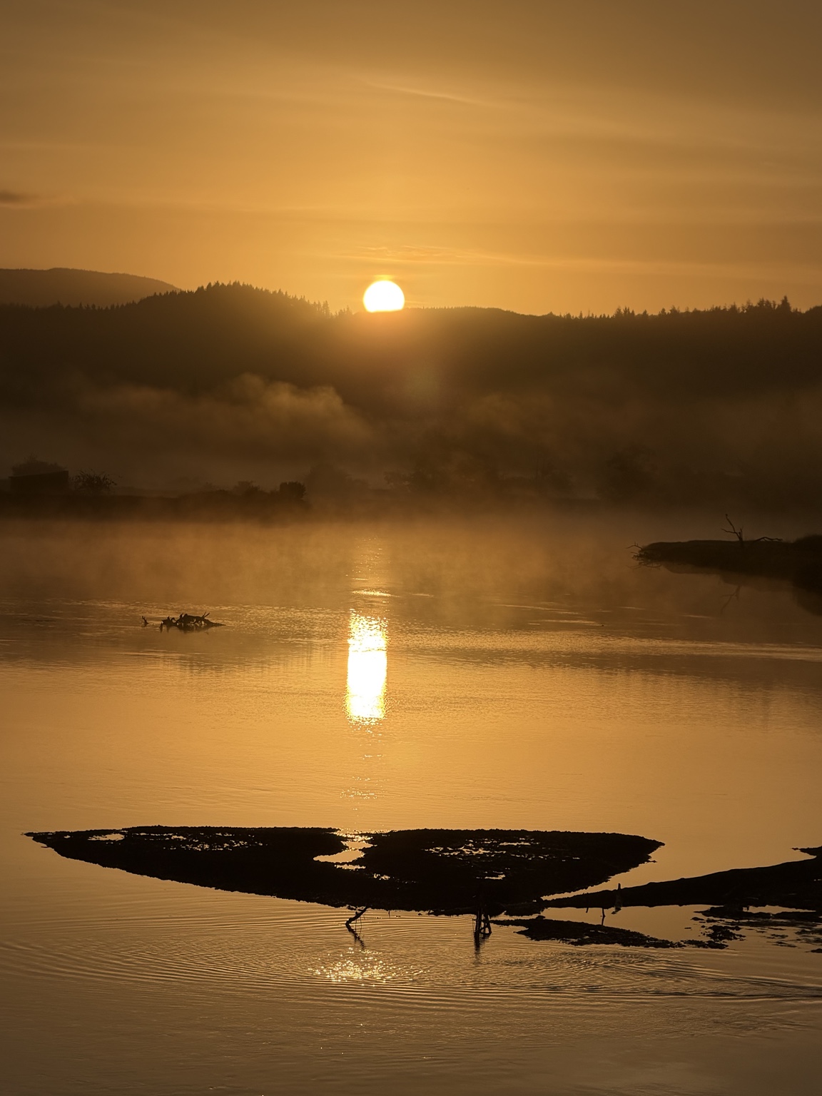 Golden sunrise and mist reflected across the Columbia River