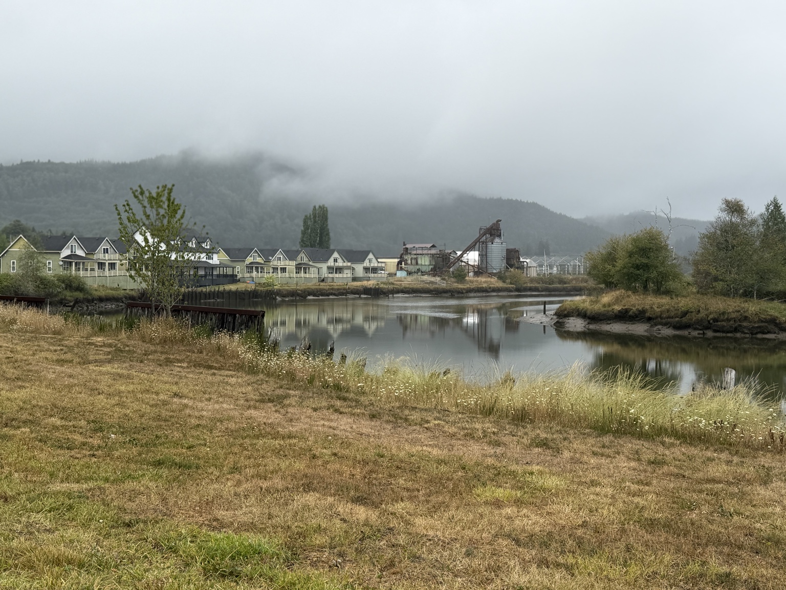 Homes and forested hills reflected in the misty Bay Center waterfront