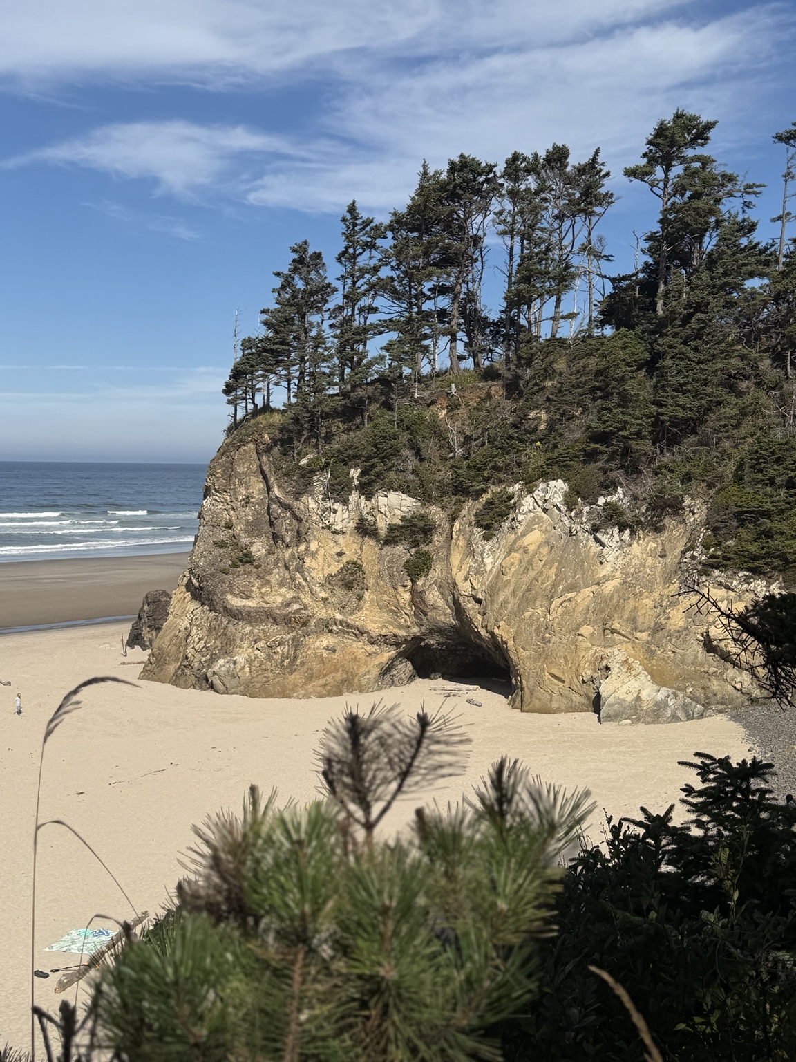 A tree-covered rocky headland rising above a sandy beach and the Pacific Ocean
