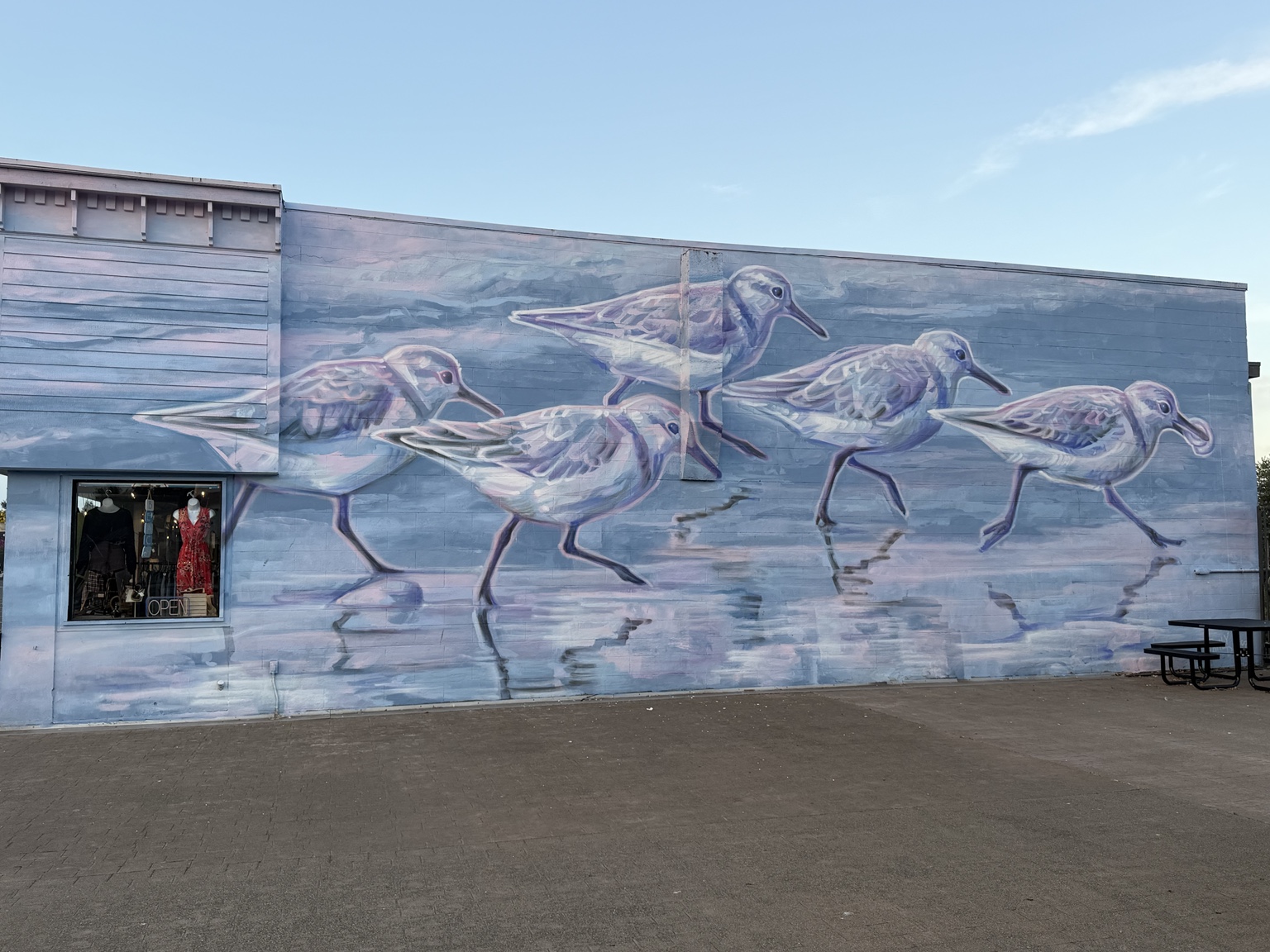 A mural of shorebirds painted across a building along the route